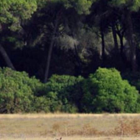 Pequeno Rocio Urbanizacion Privada Βίλα El Rocío Εξωτερικό φωτογραφία